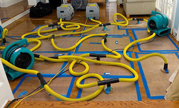 Professional Storm Water Damage Restoration technician working in Chauncey, OH
