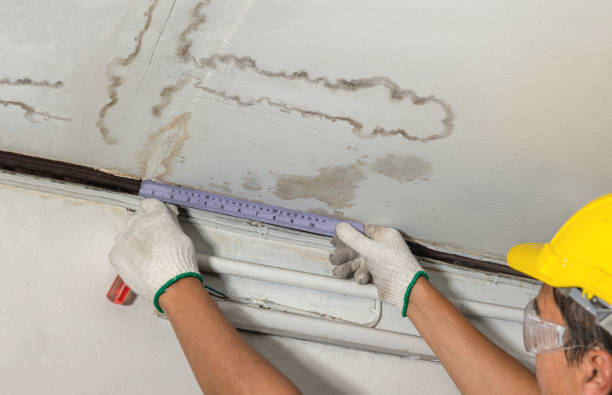 Affordable Water Damage Repair solutions in Chauncey, OH